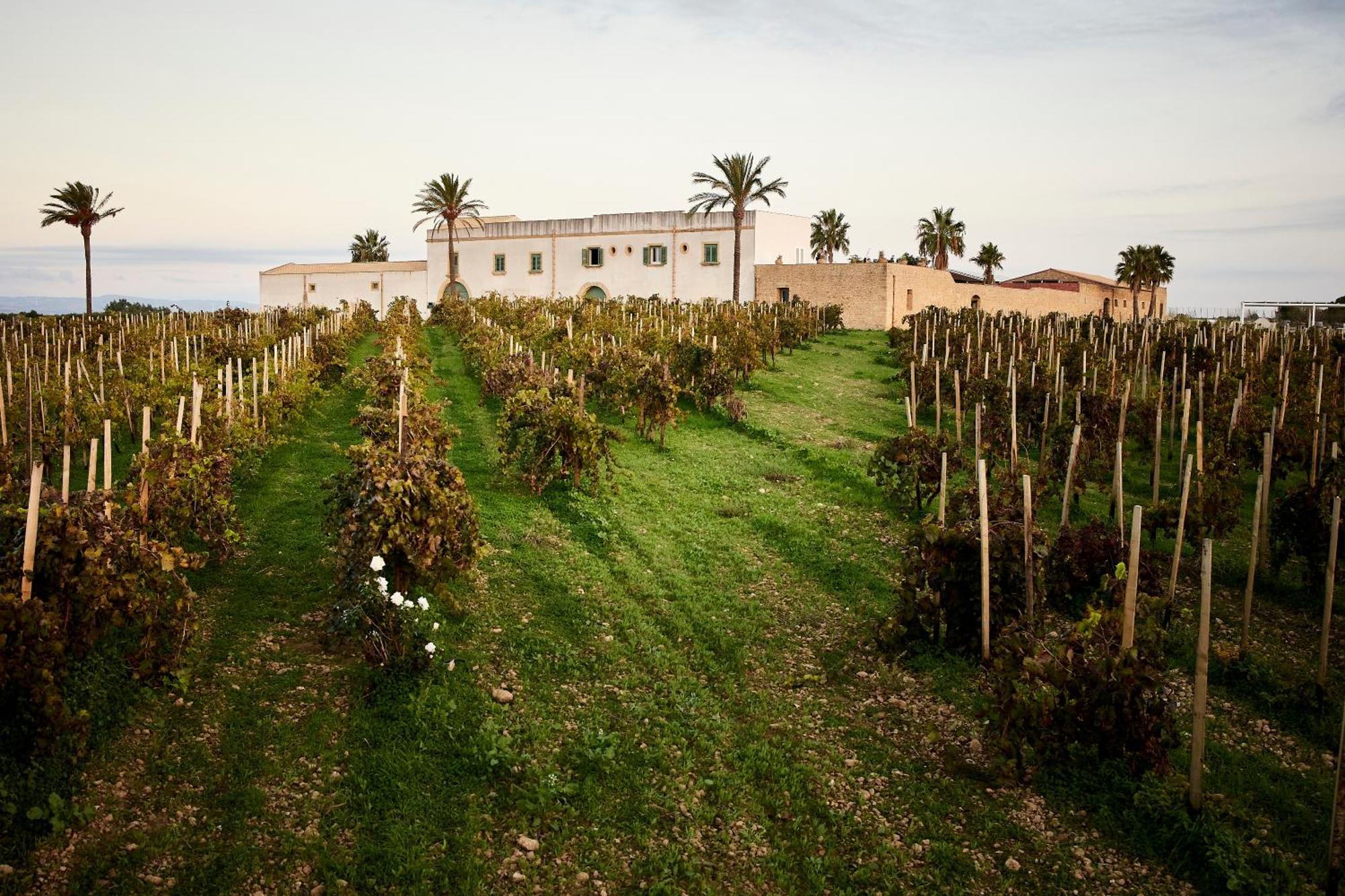 Agriturismo Baglio Donnafranca Wine Resort Marsala Exterior foto