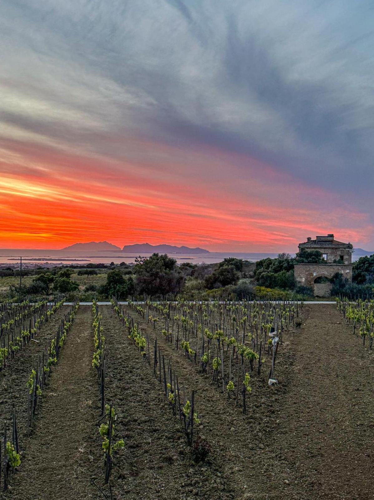 Agriturismo Baglio Donnafranca Wine Resort Marsala Exterior foto