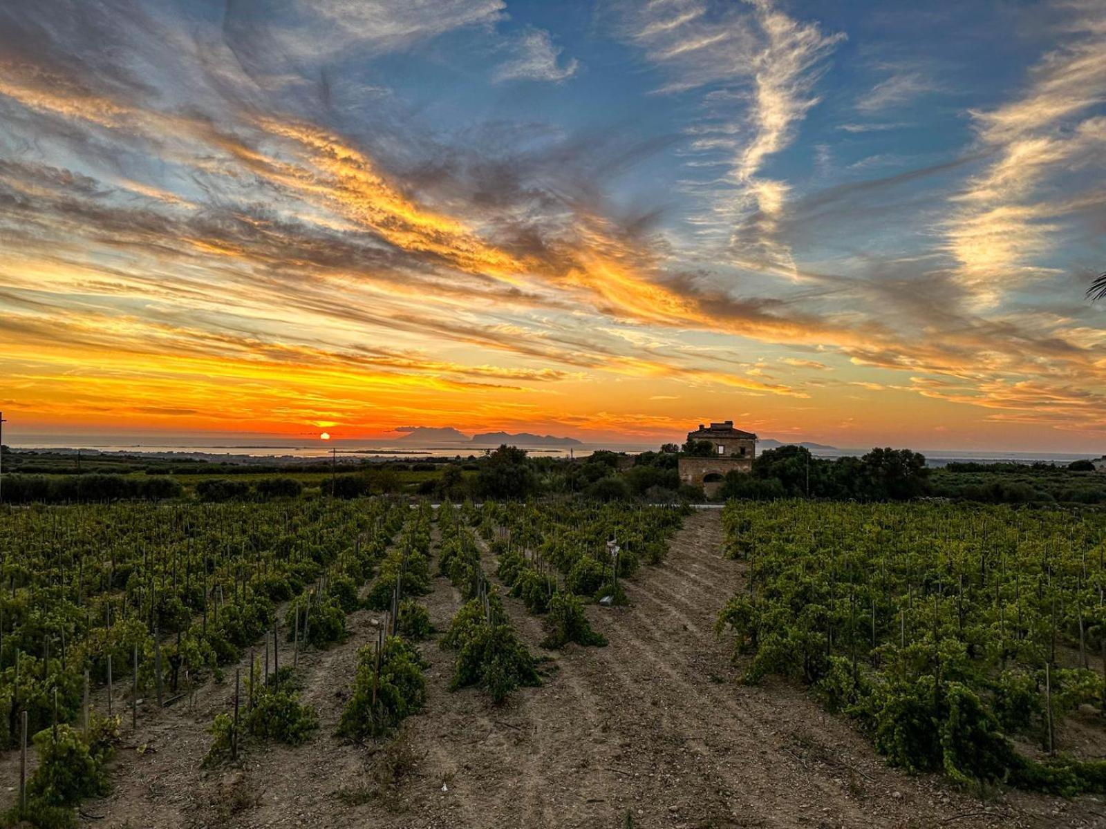 Agriturismo Baglio Donnafranca Wine Resort Marsala Exterior foto